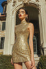 Laden Sie das Bild in den Galerie-Viewer, Glitzer Gold Hoher Hals Paillettens Enges Kurze Party Kleid