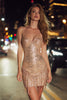 Laden Sie das Bild in den Galerie-Viewer, Glitzer Champagner Paillettens Kurze Enges Cocktail Kleid mit Fringes