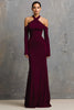 Laden Sie das Bild in den Galerie-Viewer, Burgunderrot Neckholder Lange Ärmel Lange Formelle Kleid