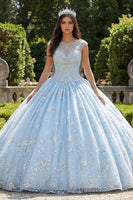 Laden Sie das Bild in den Galerie-Viewer, Glitzerndes Himmelblau Perlenverziert Prinzessin Blumen Lang Bootsausschnitt Quinceañera-Kleid