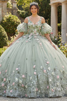 Laden Sie das Bild in den Galerie-Viewer, Salbeigrün V-Ausschnitt Prinzessin Puffärmel Blumen Lang Quinceañera-Kleid