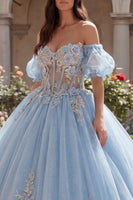 Laden Sie das Bild in den Galerie-Viewer, Lang Puffärmel Himmelblau Blumen Korsett Glitzer Prinzessin Quinceañera-Kleid