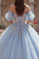 Laden Sie das Bild in den Galerie-Viewer, Lang Puffärmel Himmelblau Blumen Korsett Glitzer Prinzessin Quinceañera-Kleid