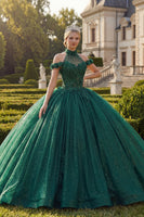 Laden Sie das Bild in den Galerie-Viewer, Dunkelgrün Hoher Kragen Prinzessin Glitzer Lang Blumen Quinceañera Kleid