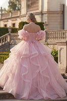 Laden Sie das Bild in den Galerie-Viewer, Prinzessin Glitzer Rouge Lang Halfter Quinceañera Kleid mit Rüschen
