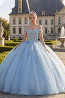 Laden Sie das Bild in den Galerie-Viewer, Blumen Lang Korsett Hellblau Prinzessin Quinceañera Kleid mit Perlen