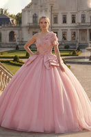 Laden Sie das Bild in den Galerie-Viewer, Rosa Blumen Ein Schulter Prinzessin Long Quinceañera Kleid mit Rüschen