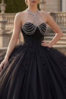 Laden Sie das Bild in den Galerie-Viewer, Holder Rückenfrei Prinzessin Glitzerndes Schwarz Lang Quinceañera Kleid mit Perlenstickerei