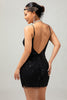 Laden Sie das Bild in den Galerie-Viewer, Glitter Schwarz Pailletten Eng Kurze Flapper Kleid mit 1920er Zubehörset
